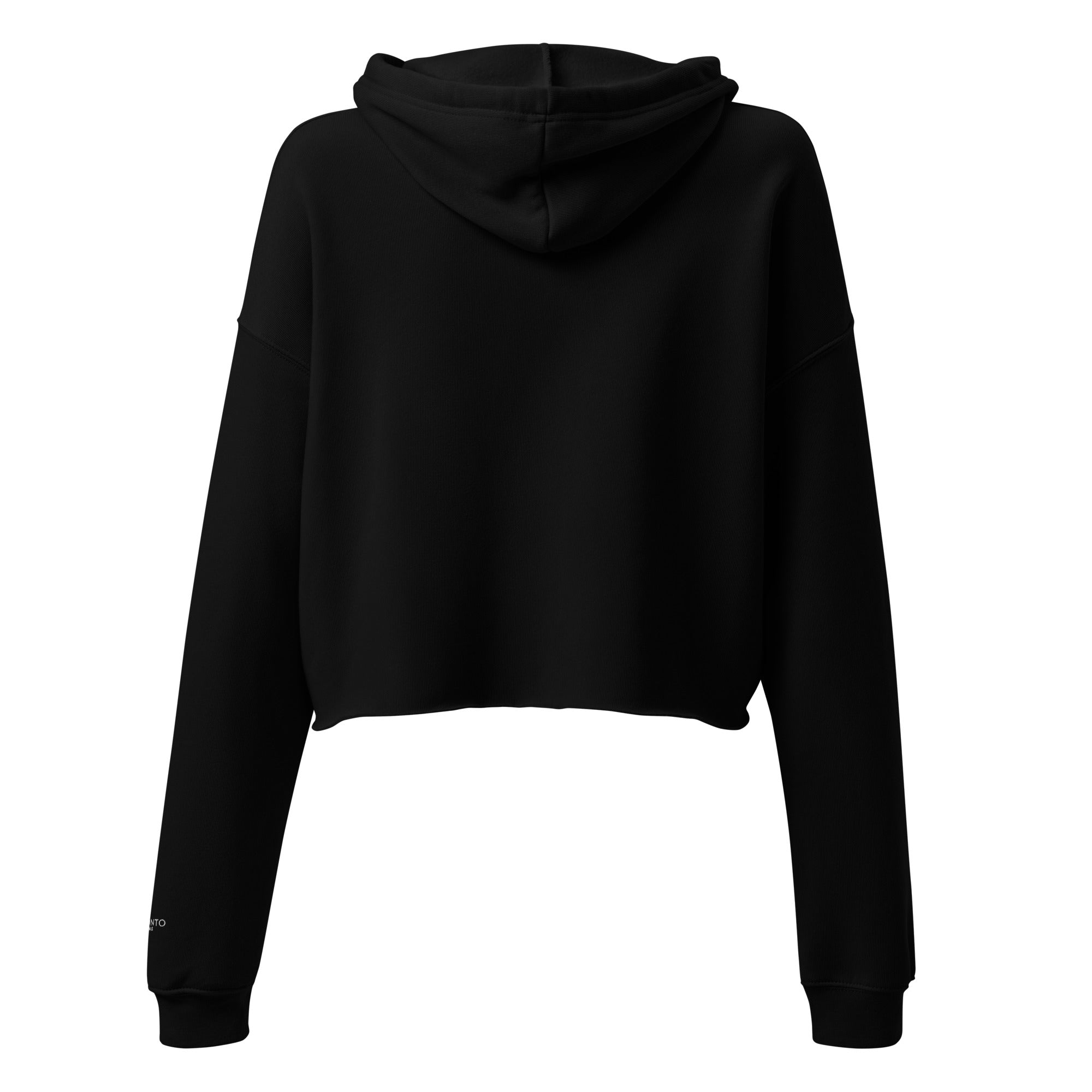 Crop Hoodie – Toronto Rhyme